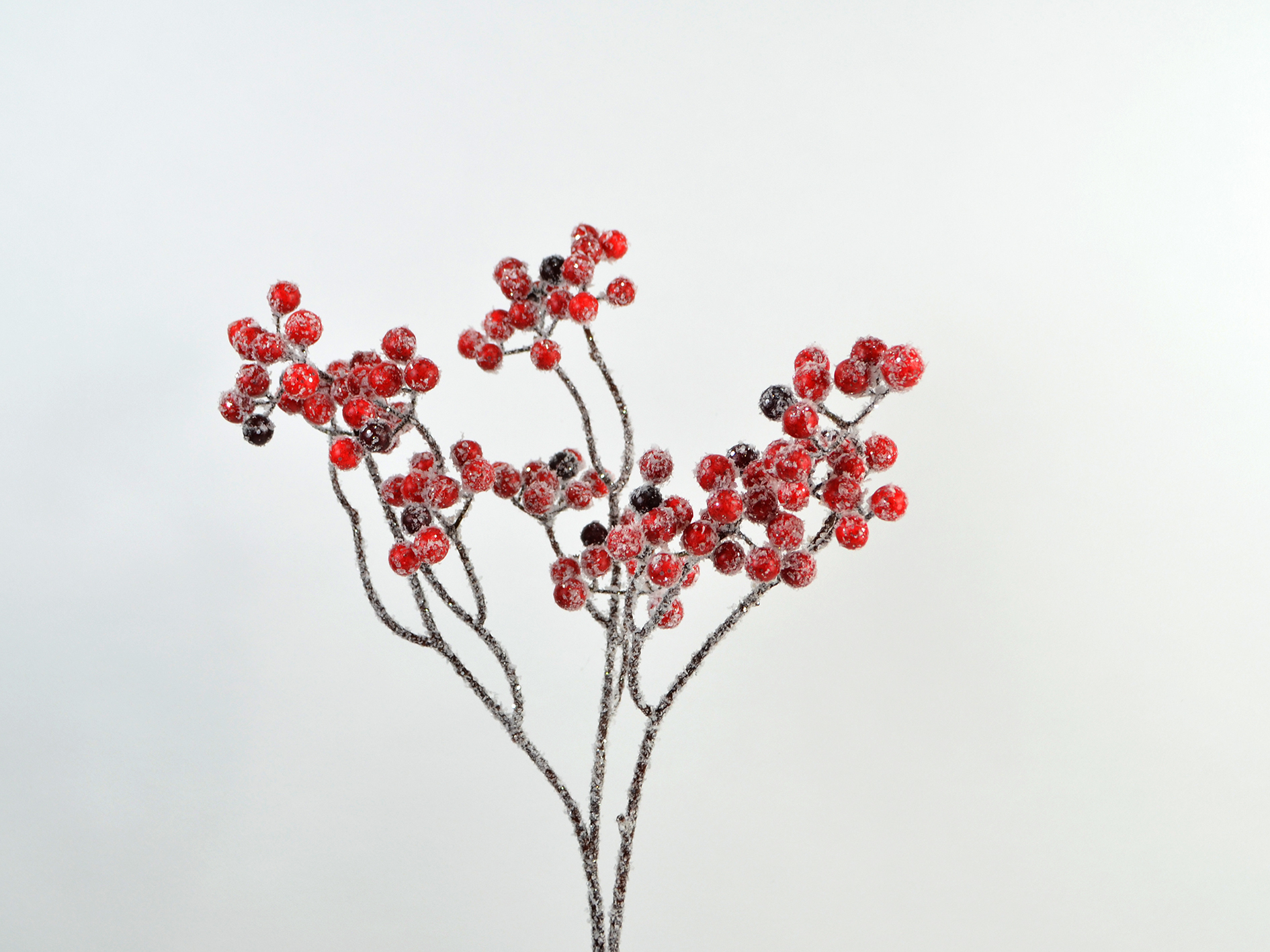 Schneebeeren-Zweig, 71cm, rot