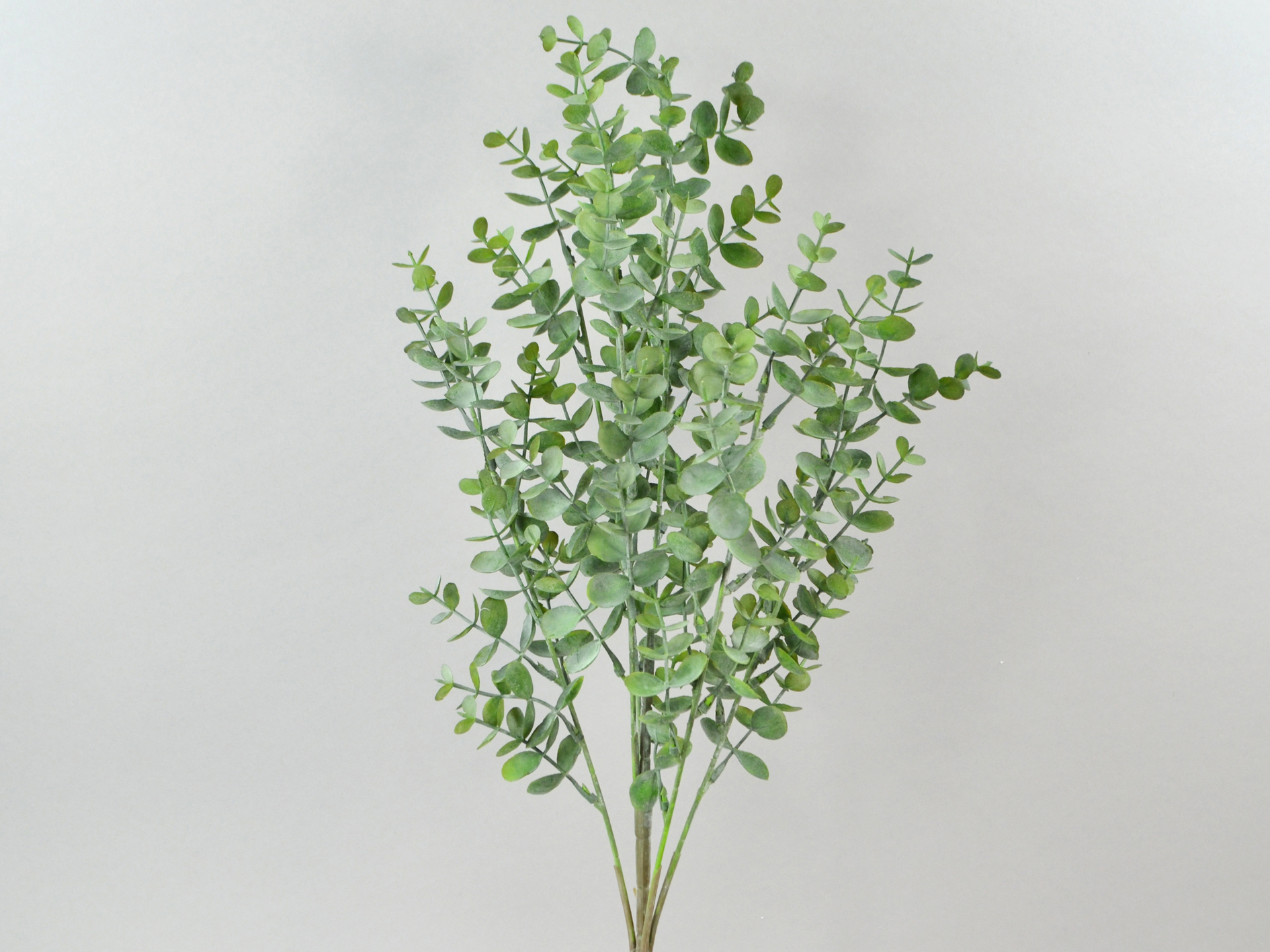 Eukalyptus-Busch, 56cm, dunkelgrün