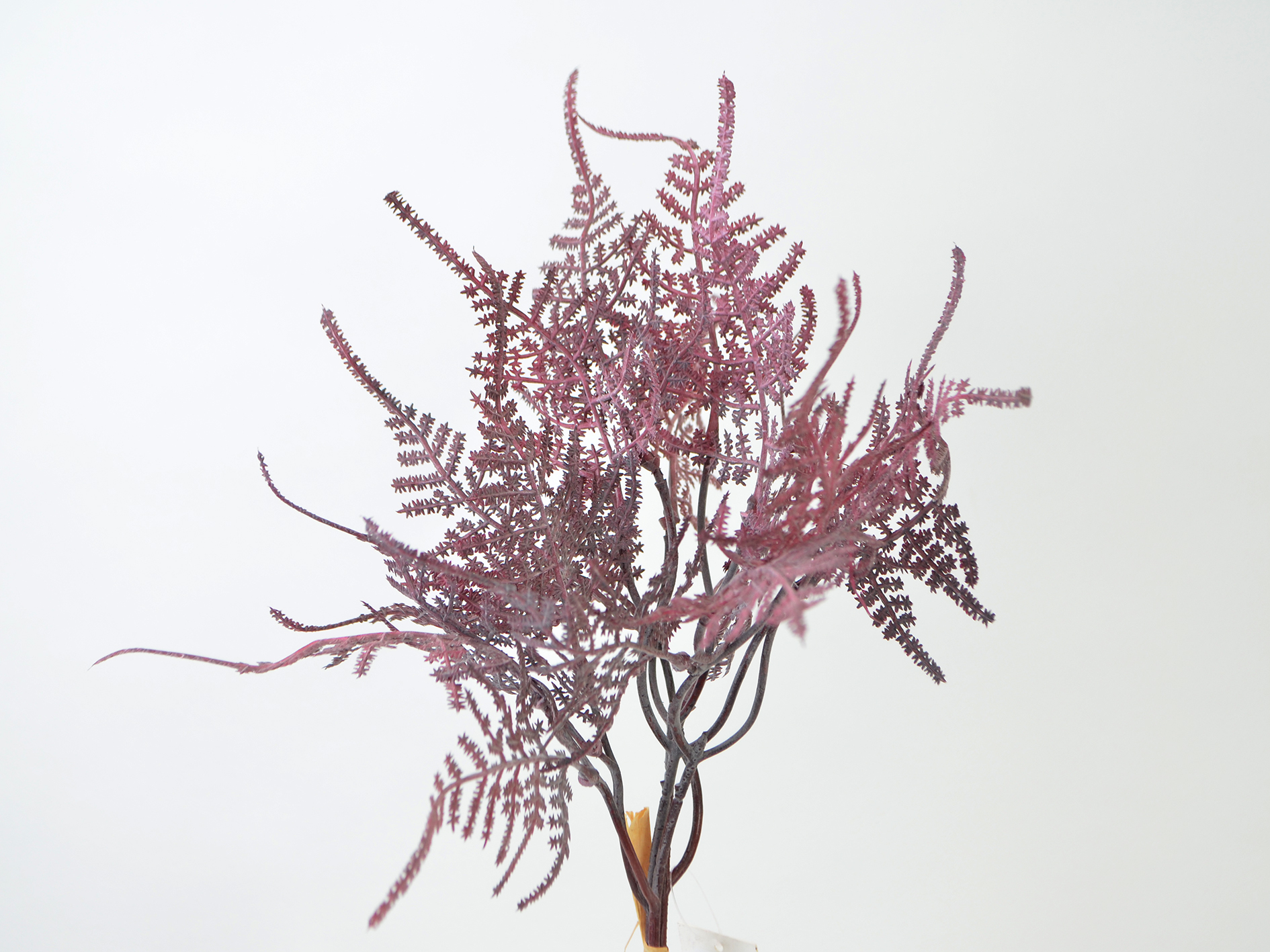 Fern branch bundle, 35cm, purple