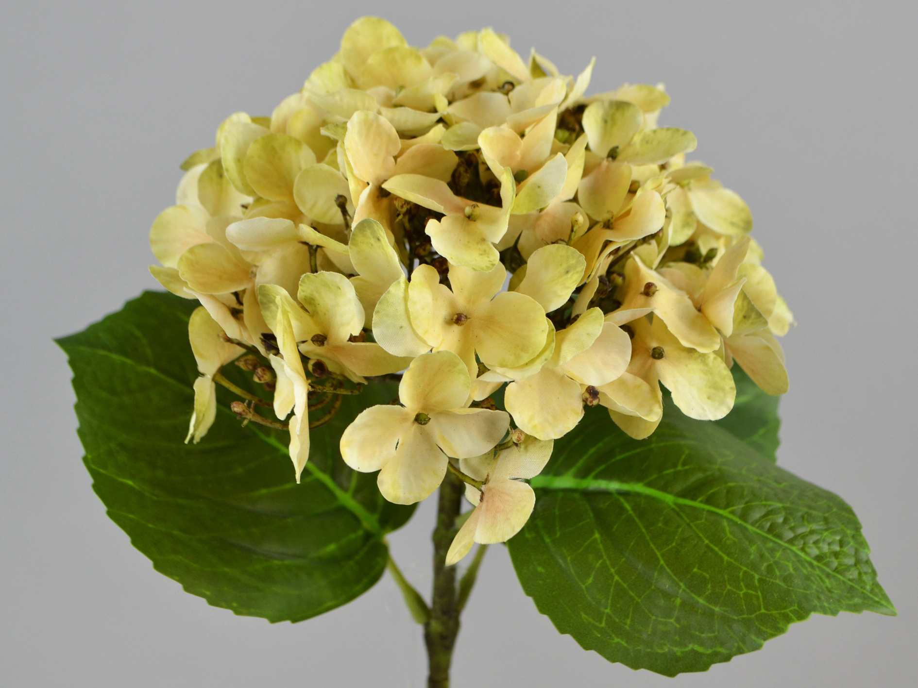Hydrangea branch, 2 leaves, 48cm, cream
