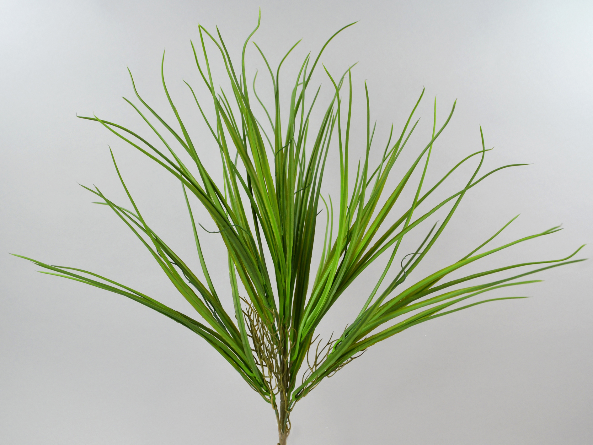Flori Gras-Busch, 60cm, grün