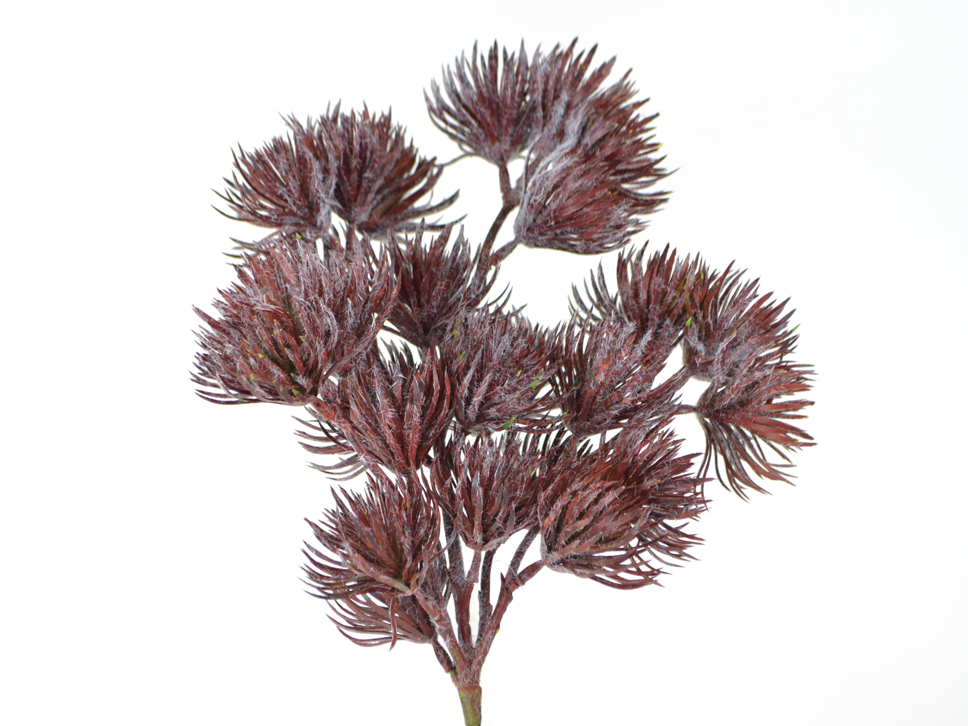 Needle branch flocked, 50cm, purple